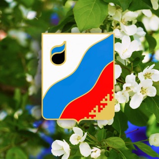 Губкинский > Администрация города