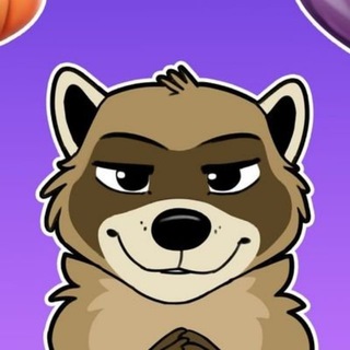 Nik Raccoom NSFW 🔞