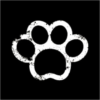 Работа эскорт Москва