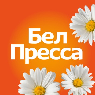 БелПресса | Новости Белгорода и Белгородской области