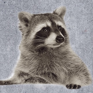 Вейп барахолка СПБ