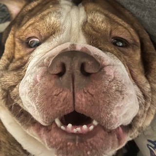 В гостях у Лукаши