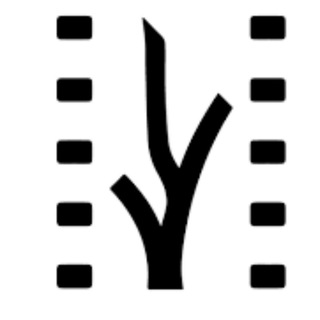 Festival Cine Habana