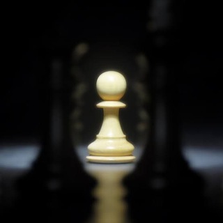 Chess videos by chess wale