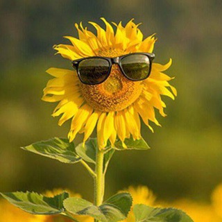 Knitted clothing store for soft toys 📳📲