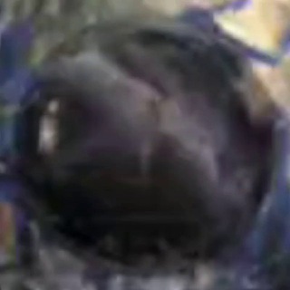 Concave Earth and Magnetism. Hidden History Media