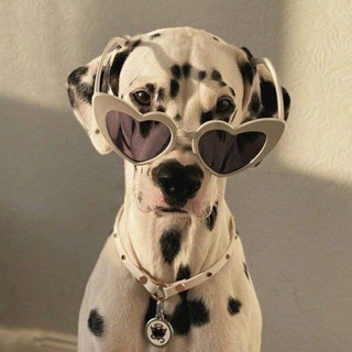 🌆Темы, языки и обои для тг! ˖ ⊹ 。 💋゚˖ ✧ ⊹