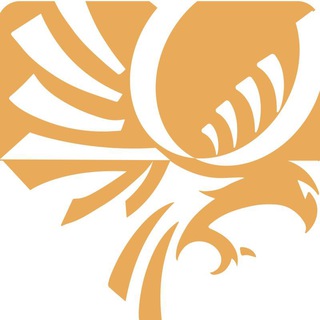 v2rayA zh | v2ray for Adults | 去隔壁吃鹅🦢