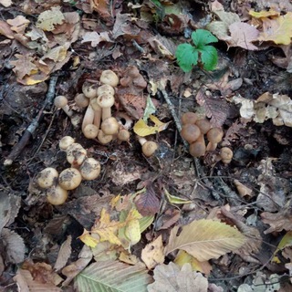 Ггггггггггг