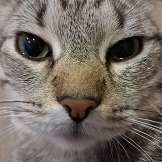 FreshCraft / FreshBricks 2.6.3 Скачать Minecraft Сборка Все DLC