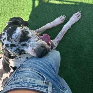 Lucrezia Milazzo🐾