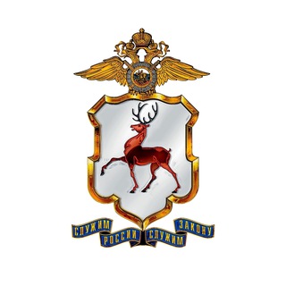 Полиция Нижегородской области