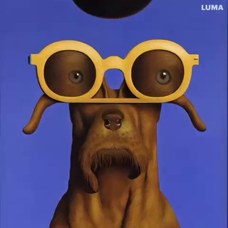 Афиша Черногории ☮️ теперь вы знаете, куда пойти! Концерты, выставки, карнавалы в Черногории — openmonte.com