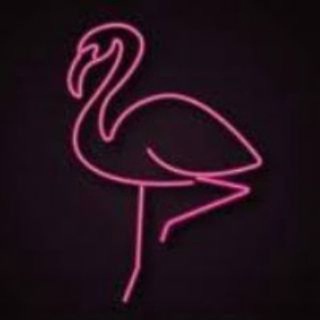 Deflamingo Oficial 🔞