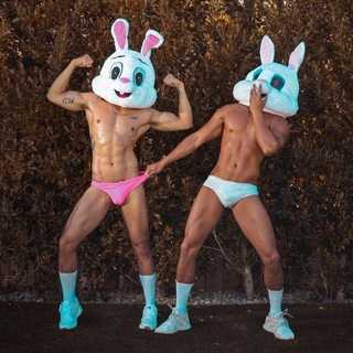 🔵 ПВТ·ЧАТ·КАЛИНИНГРАД