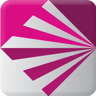 Project V （使用与反馈）