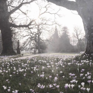 ♡Парные скины для Майнкрафта♡