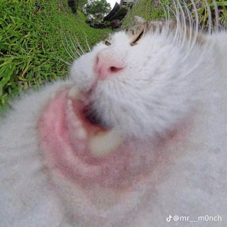 ТАК СЕБЕ ЯРИК