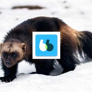 Аккаунты Блаблакар Учетки Blablacar Едем.Рф Программа Приложение