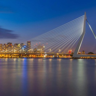 𝐑𝐨𝐭𝐭𝐞𝐫𝐝𝐚𝐦