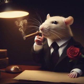 Raton Packs (@RatonPacks)