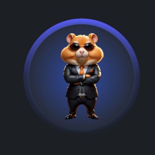 Комбо Хомяк и шифр на сегодня в Hamster Kombat