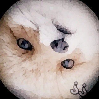 Kezas Kink Collection ๐