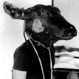 Mad at the Internet 🎙