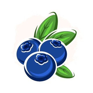 Черничники | Рецепты на каждый день