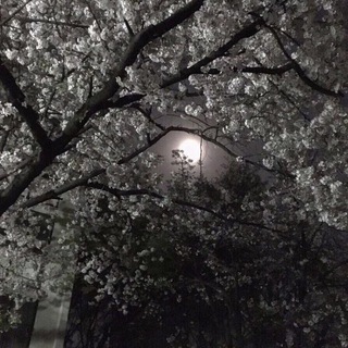 Сплетни HolyWorld