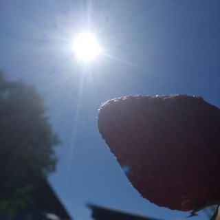 🥑ТЕМЫ, ЯЗЫКИ, ОБОИ ДЛЯ ТГ🥑