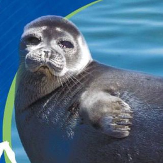 Экскурсии в Улан-Удэ | Туры по Бурятии и Байкалу