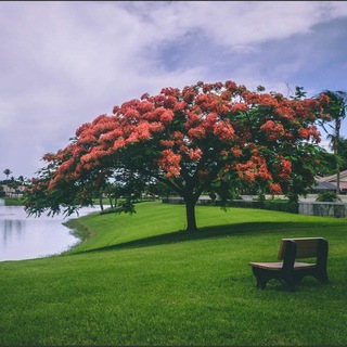 မြန်မာစာတန်းထိုး အဂ်လိပ် ဇာက်ကားများ 🇱🇷