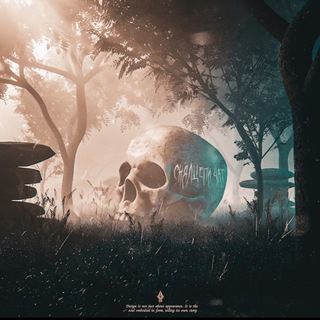 #снялцепи чат