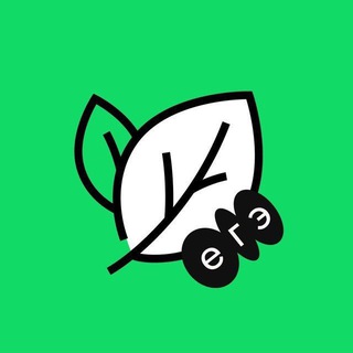 Сливы курсов ЕГЭ: умскул, вебиум, сотка, ноо, 100бальный