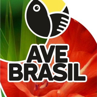 AveBrasil - Бразильские сериалы на русском