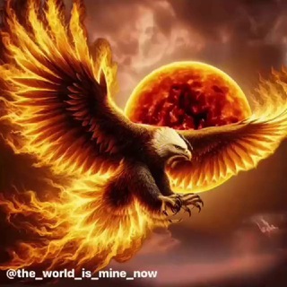 PicsBox Official Motivation and Psychology