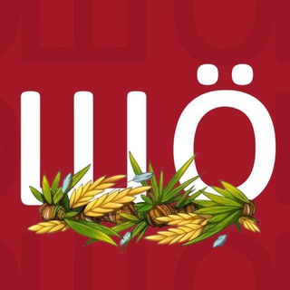 ШÖ❓Шебекино