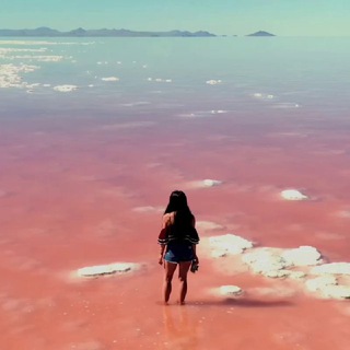 Adventures of Nicole