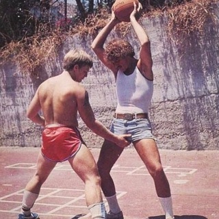 Средиземноморские сосны