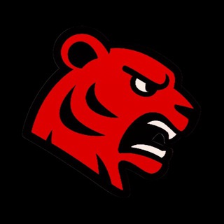 RedTiger Support