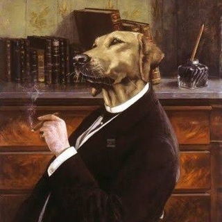 Natsecjeff - News, Conflicts, Militancy, Terrorism, OSINT