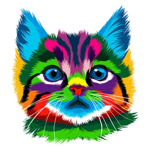 猫云VPN官方频道