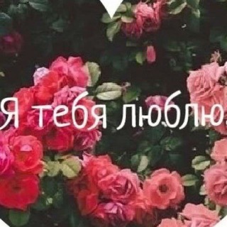 Феи Киева (оригинал) | Содержанки и Спонсоры | Ескорт Знакомства Вписки Киев