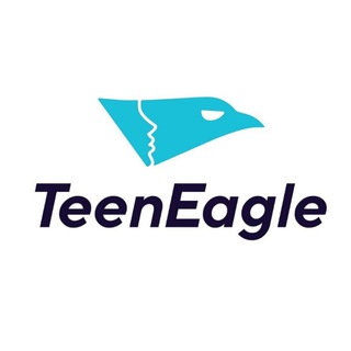 TeenEagle Info Team
