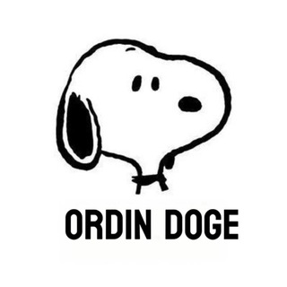 ORDIN DOGE🖤on BNB