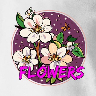 Обои темы стикеры языки шрифты для андроида айфона на тг