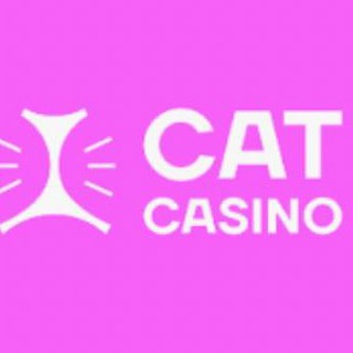 Cat Casino Зеркало - Официальный сайт