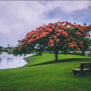 မြန်မာစာတန်းထိုး အိန္ဒိယ ဇာက်ကားများ🇮🇳