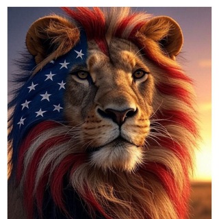 MajFreddy’s Channel